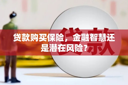 开阳贷款购买保险，金融智慧还是潜在风险？