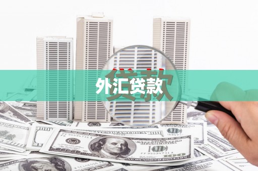 铜锣外汇贷款
