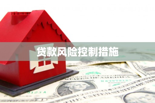 玉树贷款风险控制措施