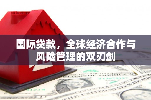 新界国际贷款，全球经济合作与风险管理的双刃剑