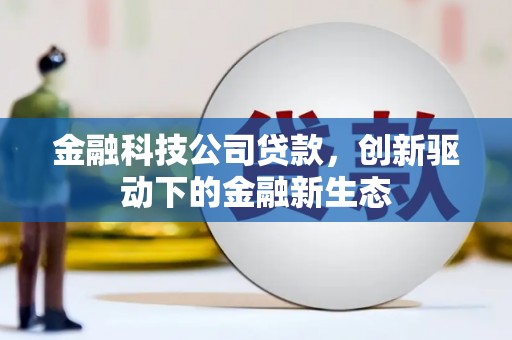 措勤金融科技公司贷款，创新驱动下的金融新生态