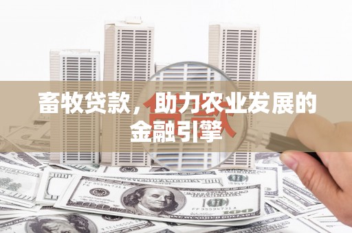 曲江畜牧贷款，助力农业发展的金融引擎