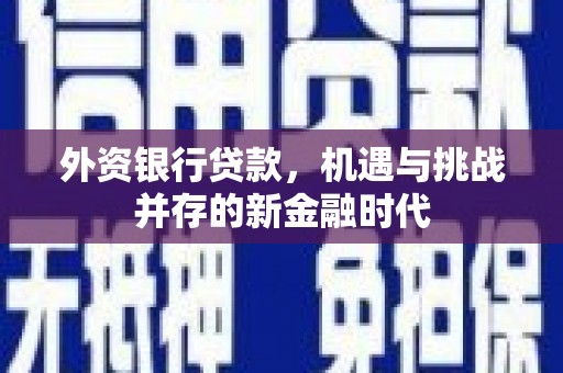 汕尾外资银行贷款，机遇与挑战并存的新金融时代