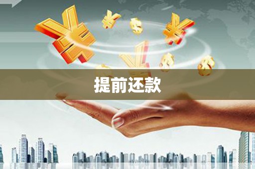 沿河提前还款