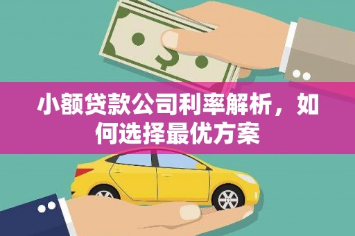 青神小额贷款公司利率解析，如何选择最优方案