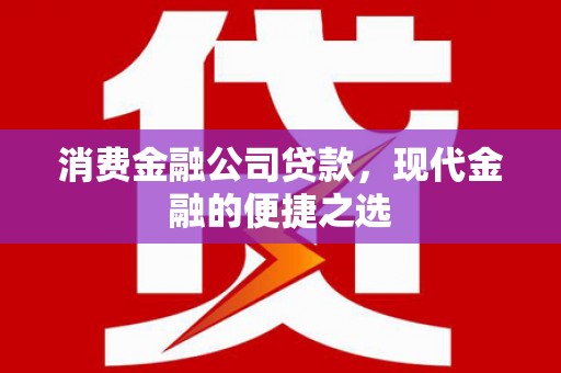 埌东消费金融公司贷款，现代金融的便捷之选