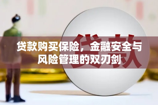 盐田贷款购买保险，金融安全与风险管理的双刃剑