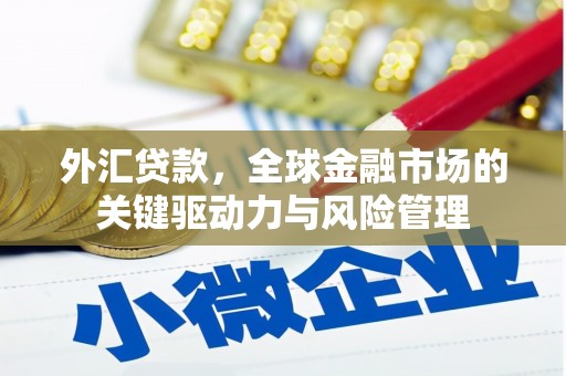 武隆外汇贷款，全球金融市场的关键驱动力与风险管理