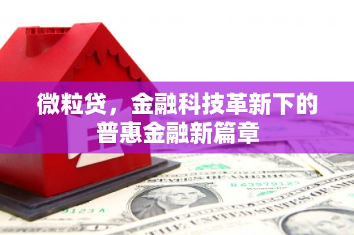 马山微粒贷，金融科技革新下的普惠金融新篇章