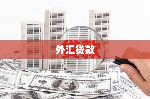 化州外汇贷款