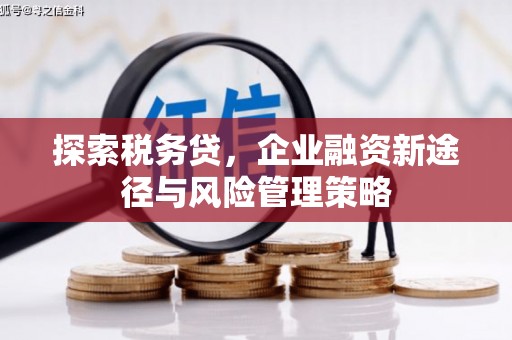 君山探索税务贷，企业融资新途径与风险管理策略