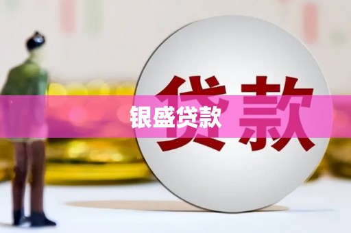 隆回银盛贷款