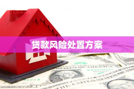 梅州贷款风险处置方案