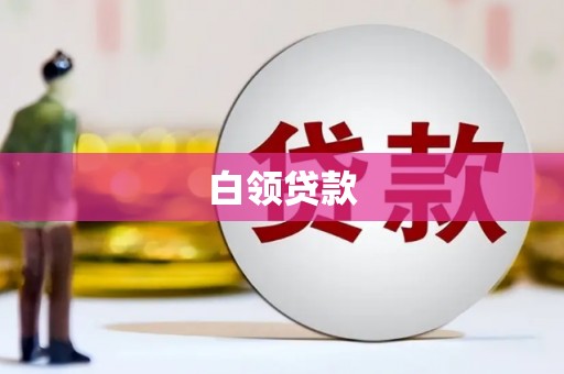 环江白领贷款