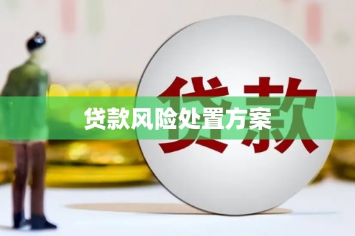 新庄贷款风险处置方案