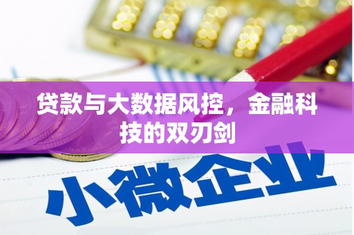 弥勒贷款与大数据风控，金融科技的双刃剑