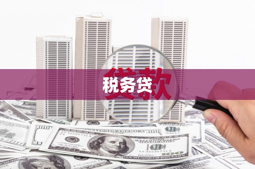 林甸税务贷
