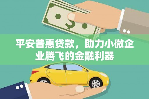 东丰平安普惠贷款，助力小微企业腾飞的金融利器