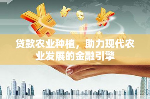 观音贷款农业种植，助力现代农业发展的金融引擎