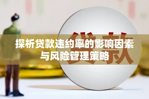 盐田探析贷款违约率的影响因素与风险管理策略