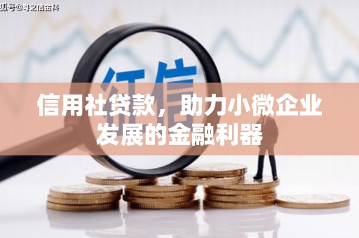 小港信用社贷款，助力小微企业发展的金融利器