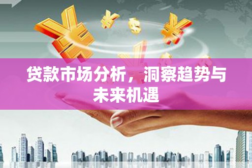 新安贷款市场分析，洞察趋势与未来机遇