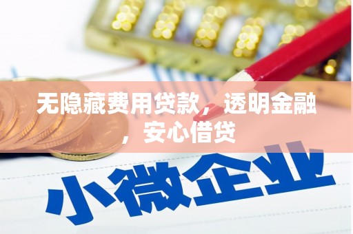 唐县无隐藏费用贷款，透明金融，安心借贷