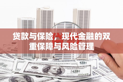 小港贷款与保险，现代金融的双重保障与风险管理