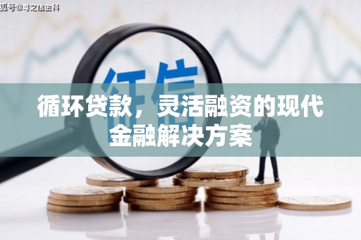 荔波循环贷款，灵活融资的现代金融解决方案
