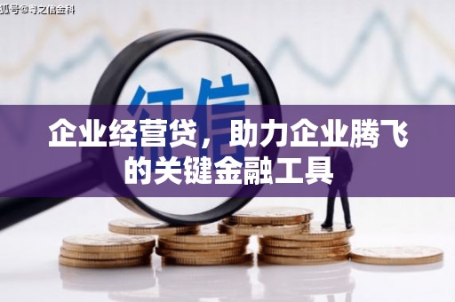特克斯企业经营贷，助力企业腾飞的关键金融工具