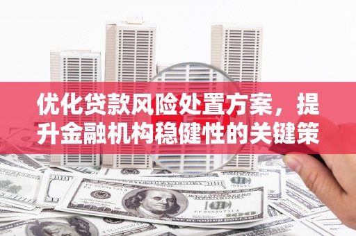 蒸湘优化贷款风险处置方案，提升金融机构稳健性的关键策略