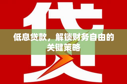苏尼特右旗低息贷款，解锁财务自由的关键策略