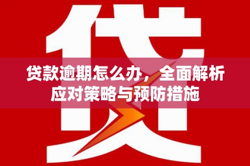 海原贷款逾期怎么办，全面解析应对策略与预防措施