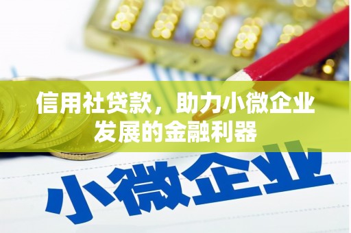通城信用社贷款，助力小微企业发展的金融利器