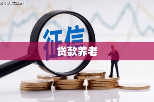 贞丰贷款养老