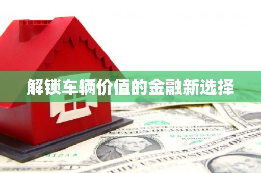 海伦解锁车辆价值的金融新选择