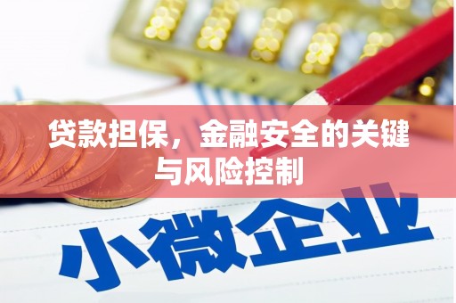 麦积贷款担保，金融安全的关键与风险控制