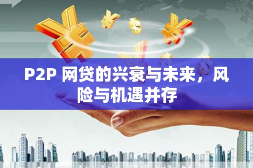 双台子P2P 网贷的兴衰与未来，风险与机遇并存