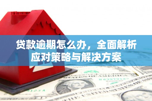 师宗贷款逾期怎么办，全面解析应对策略与解决方案