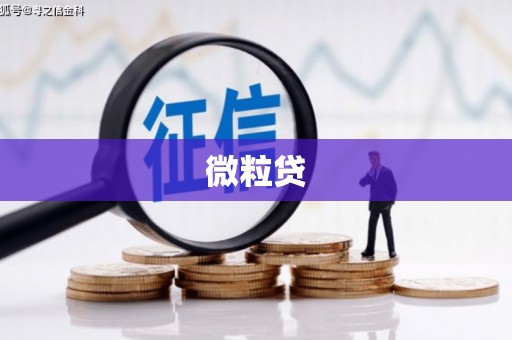 城关微粒贷