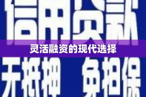 麻江灵活融资的现代选择