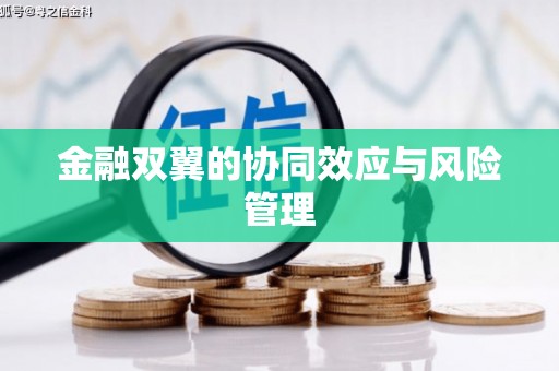 保税港区金融双翼的协同效应与风险管理