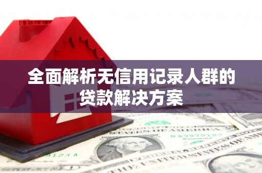 坪林全面解析无信用记录人群的贷款解决方案