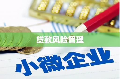 德庆贷款风险管理