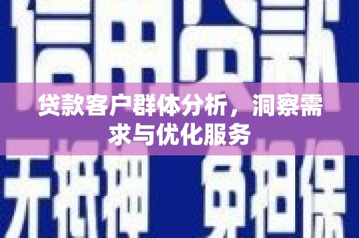 大东贷款客户群体分析，洞察需求与优化服务